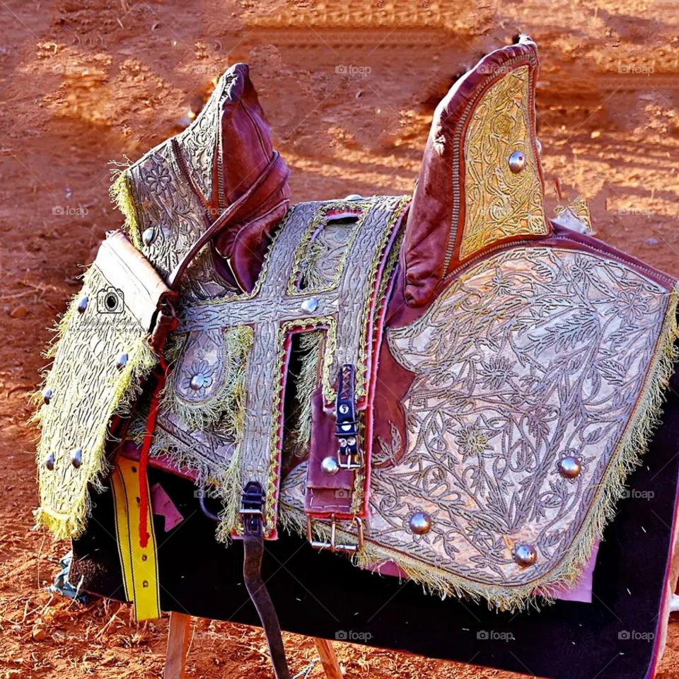 the horse's saddle