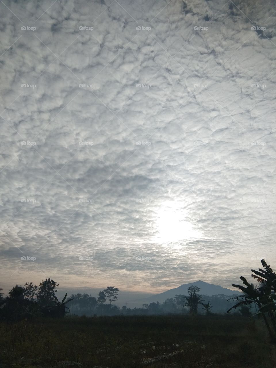 beautiful clouds in the morning
