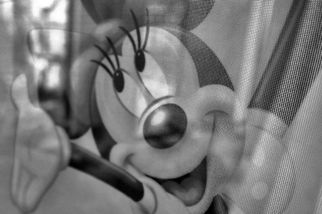 Mickey mouse