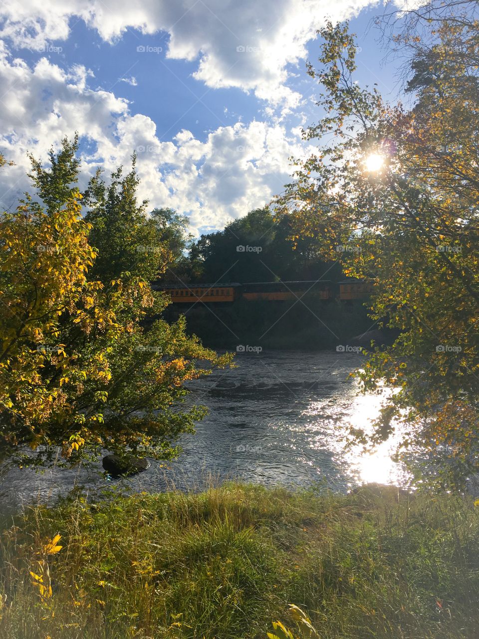 Train by the river