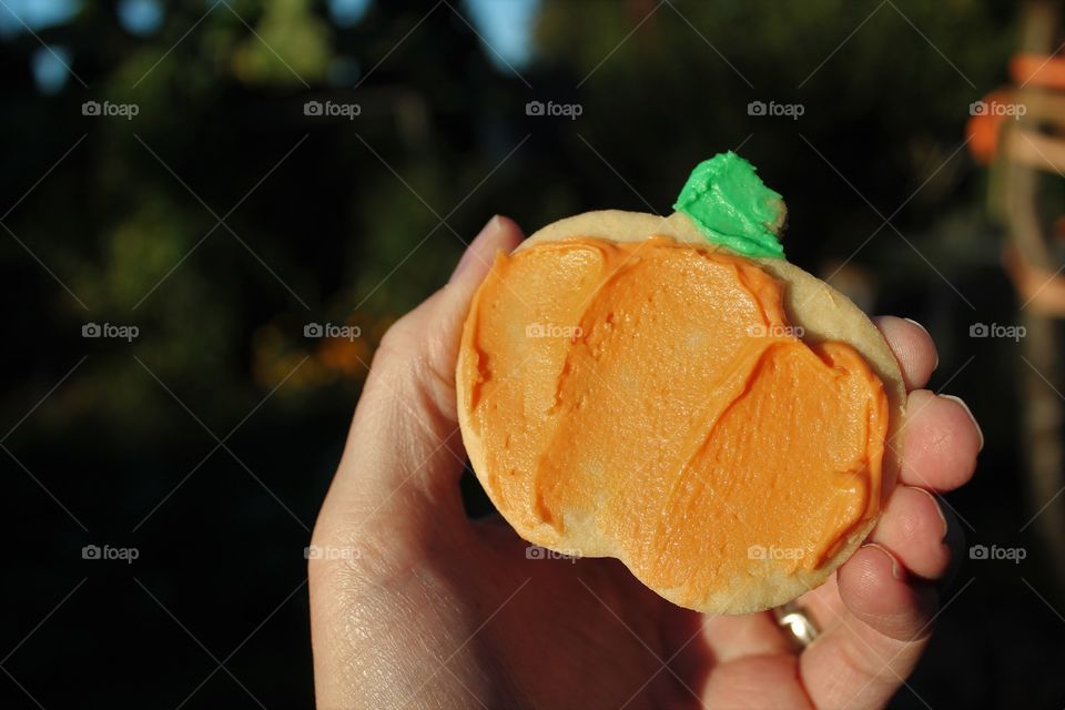 pumpkin sugar cookies