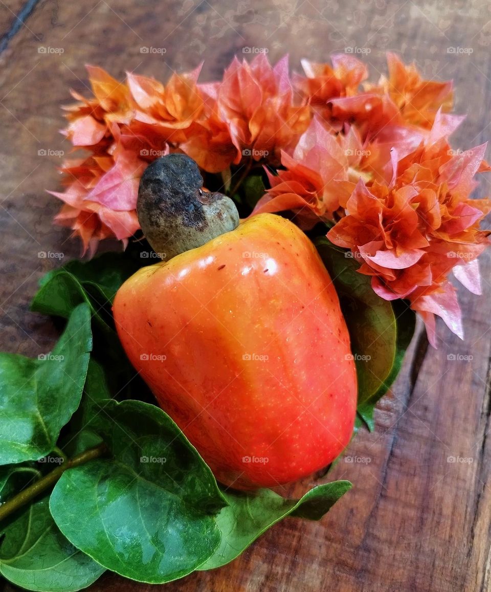 What we popularly understand as "cashew" consists of two parts: the fruit itself, which is the chestnut; and its floral peduncle, the pseudofruit, a piriform body, yellow, pink or red and delicious!