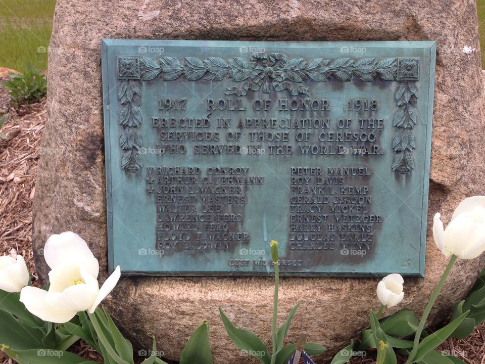 Honor Roll. Ceresco MI world war veterans