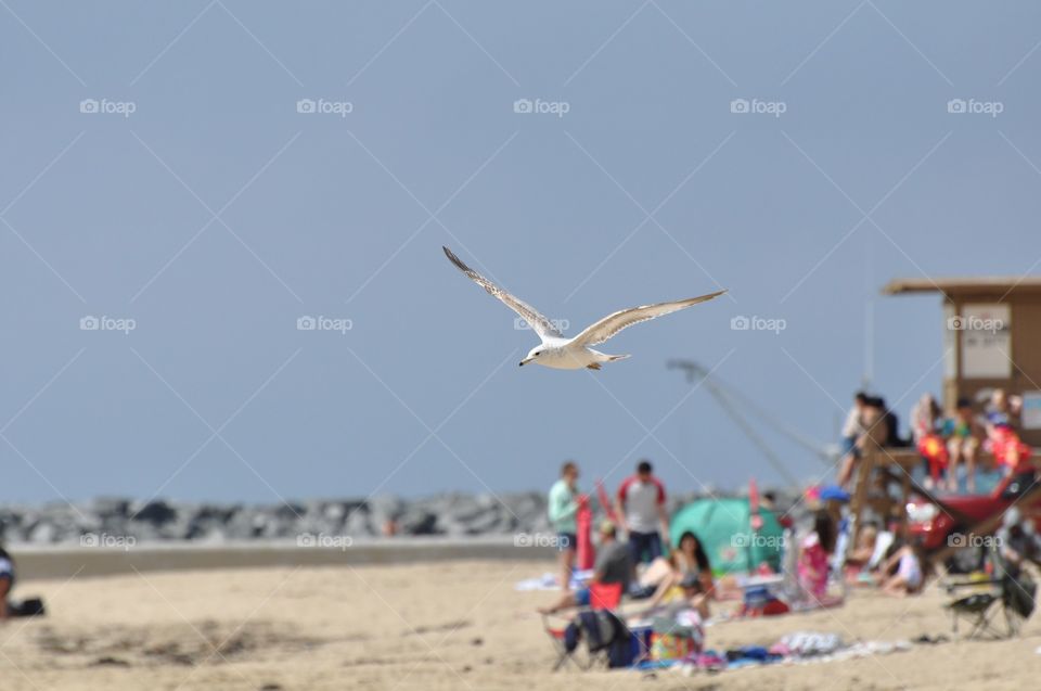 California beach