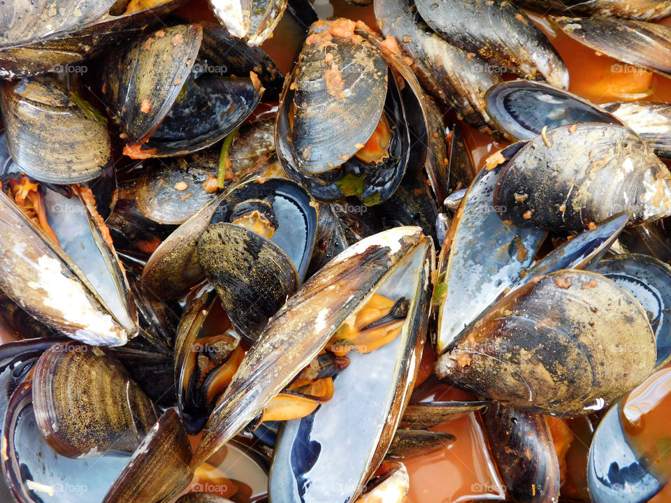 mussels