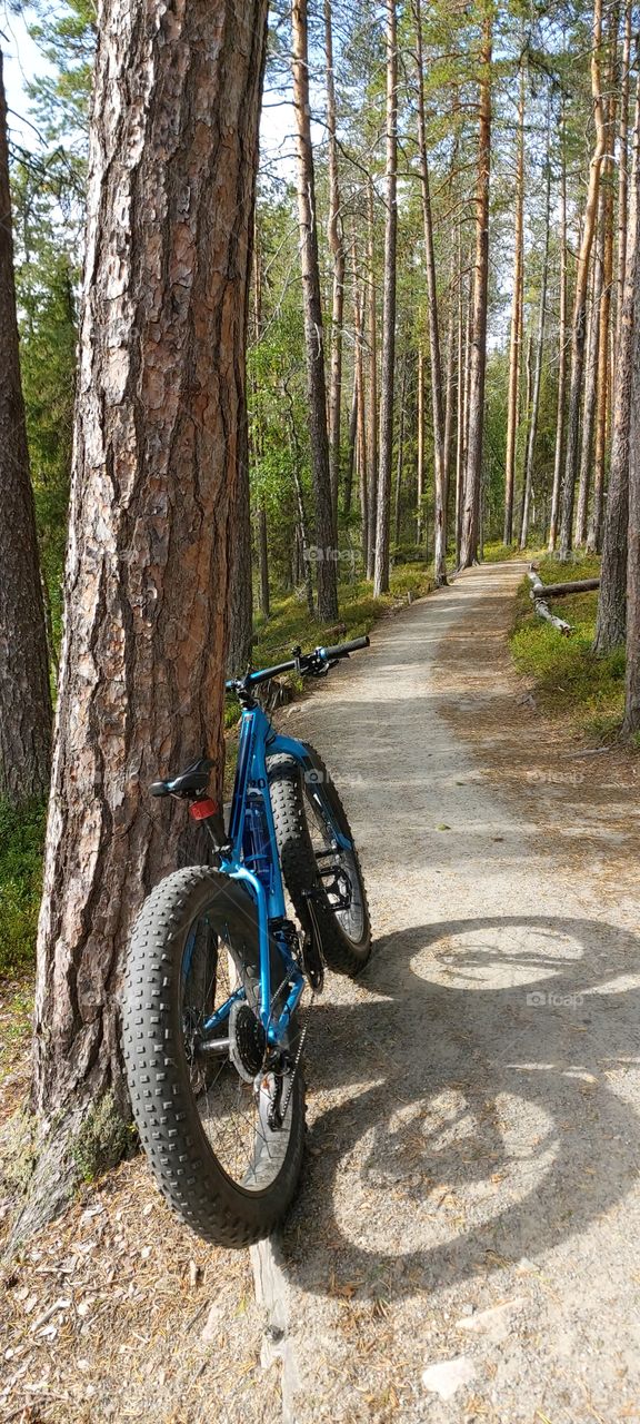 Mountainbiking in Lapland, Finland, Ylläs