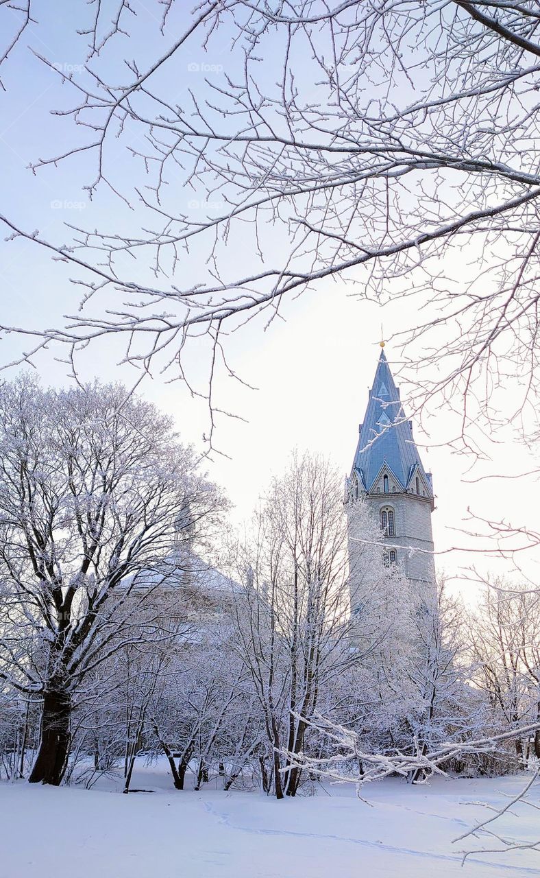 Winter time ❄️ Trees in the snow❄️