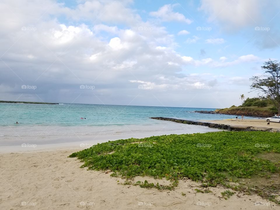 Beach in Oahu