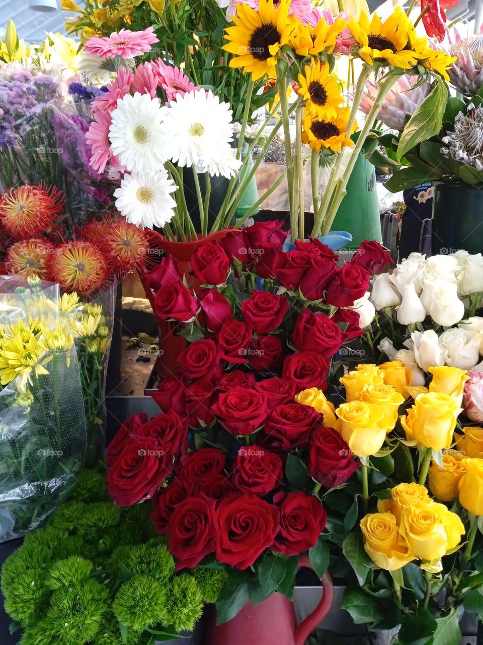 from flowers and plants for sale in a municipal market in Porto