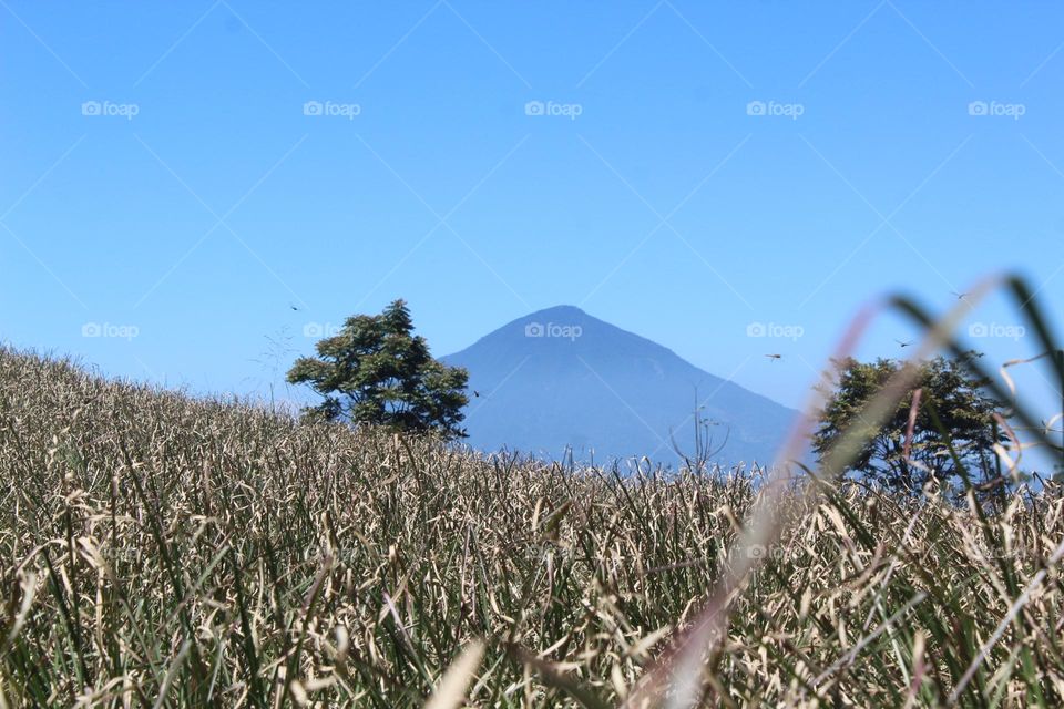 mountains with clear blue sky