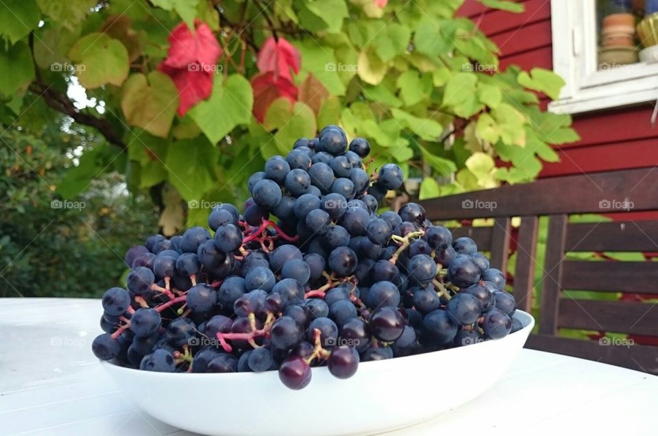 grapes