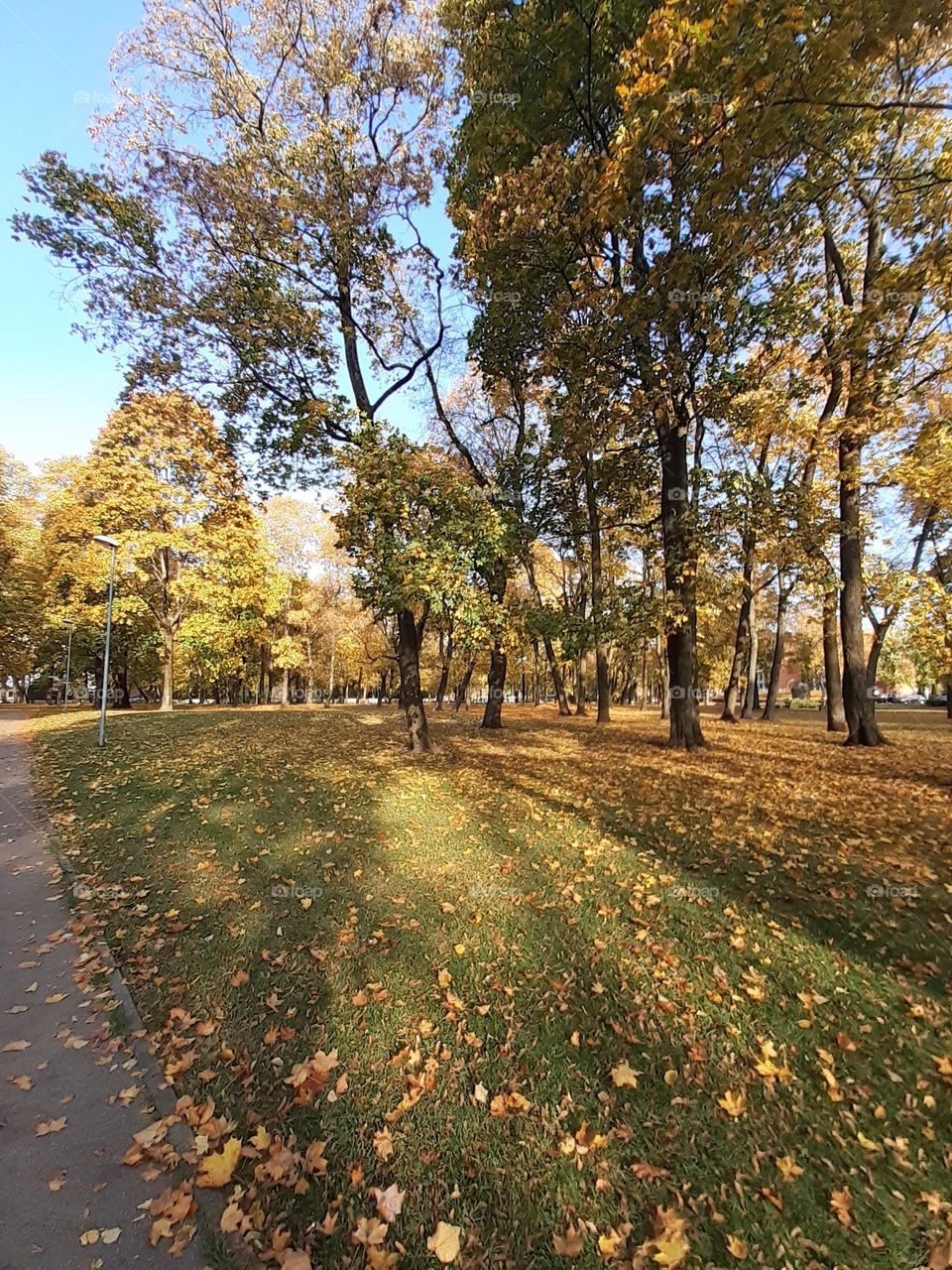 Золотая осень... Тихий сад. Рига