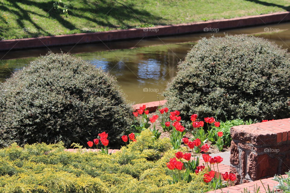 Beautiful landscape in the Park