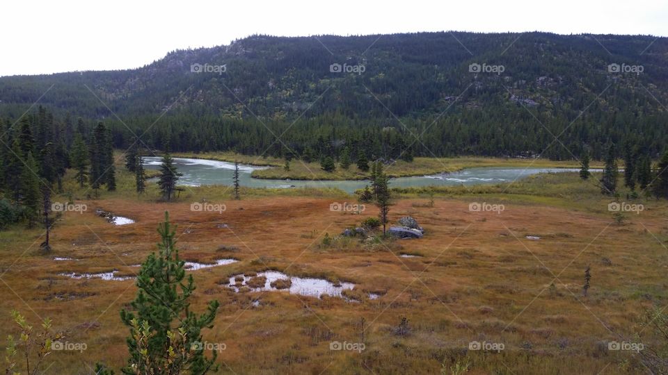 Wild nature in North America with brown and green grass, hills, and water running through