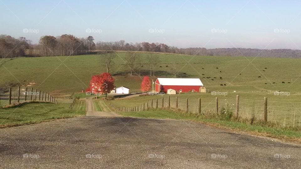 farm