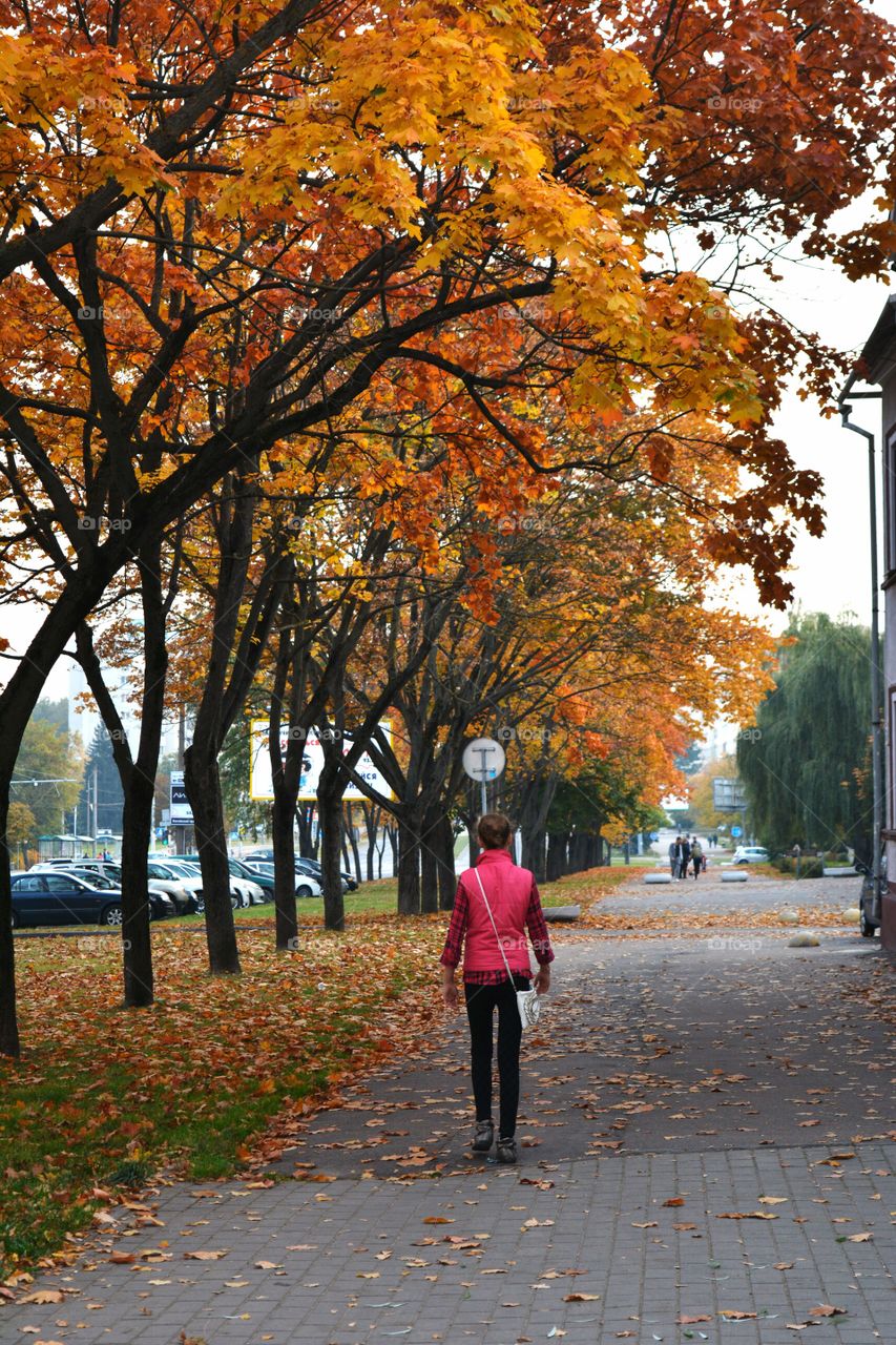 girl in autumn