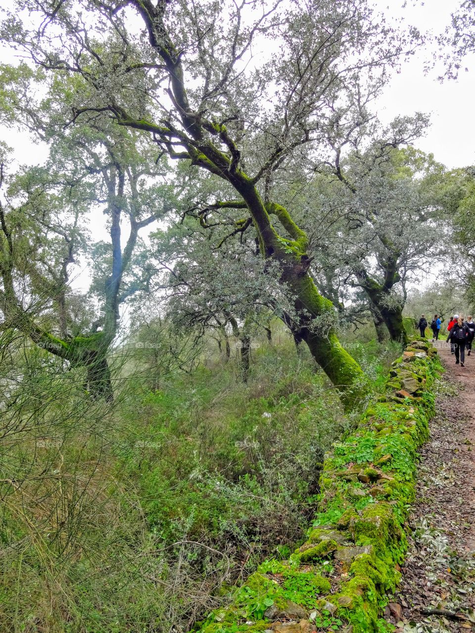 Hiking outside Sevilla, Spain