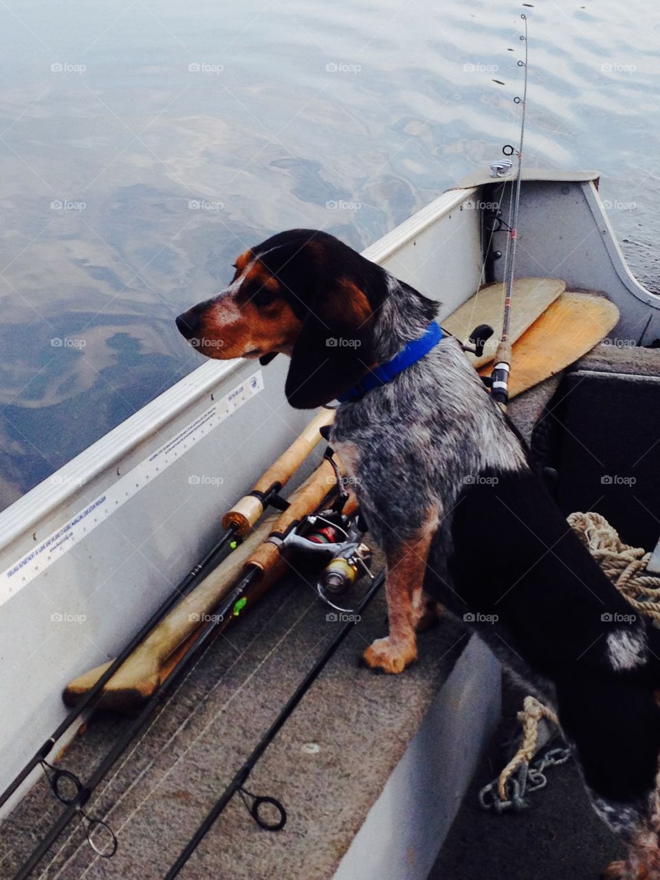 Fishing buddy