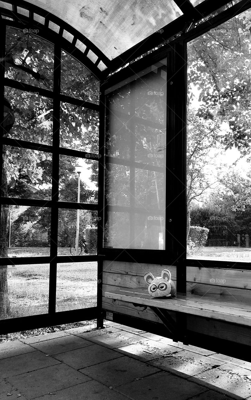 A plush toy sitting at the bus stop