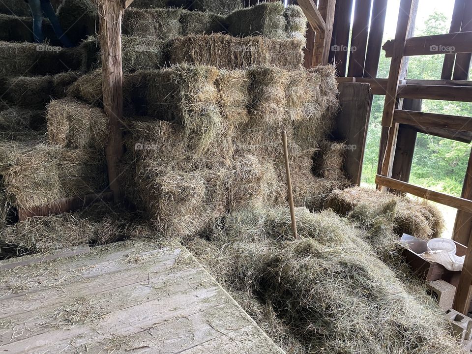 Stacking hay