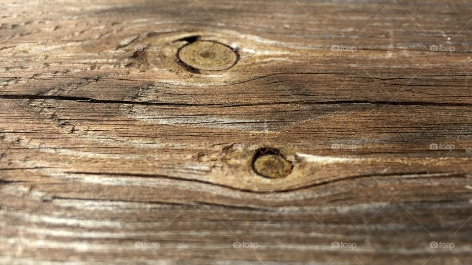 Wood