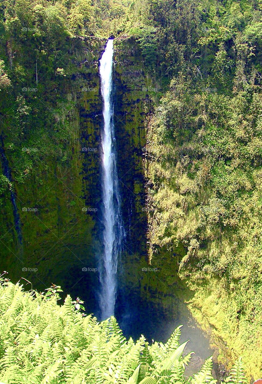 Akaka Fall state Park Kona Hawaii