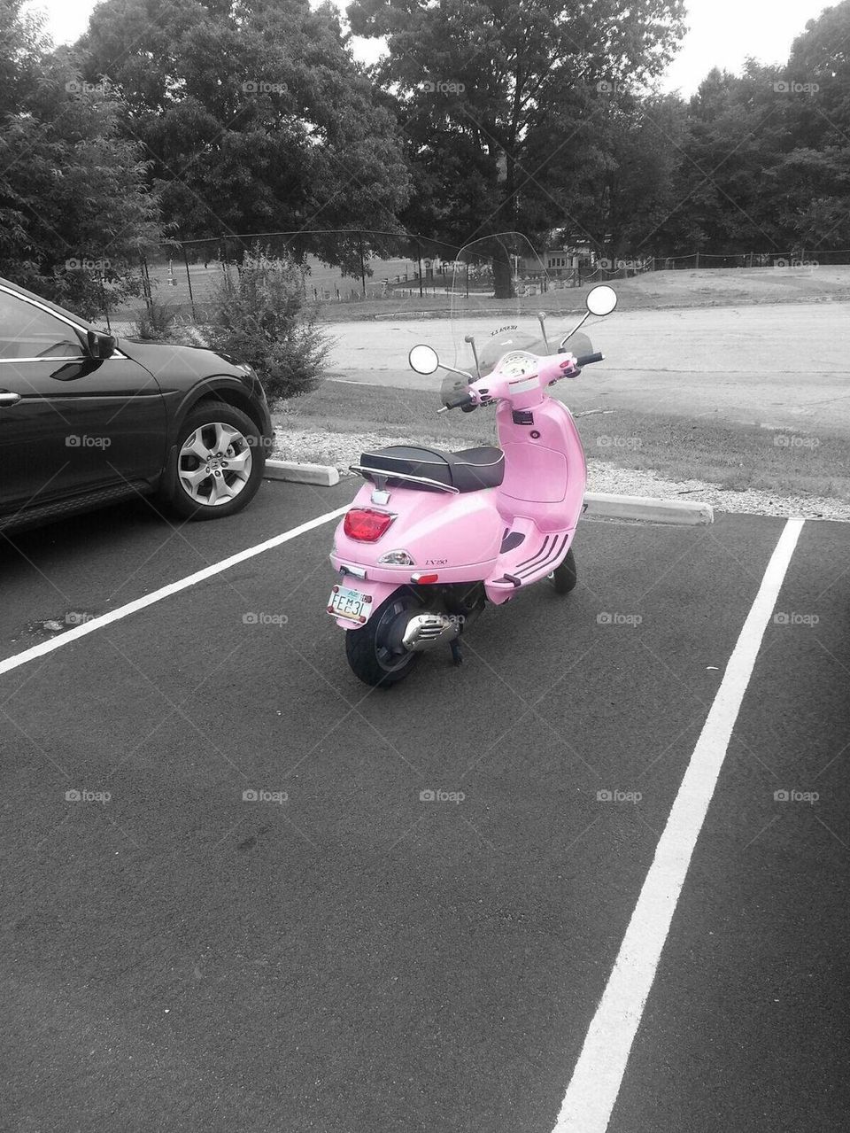 Pink Ride 