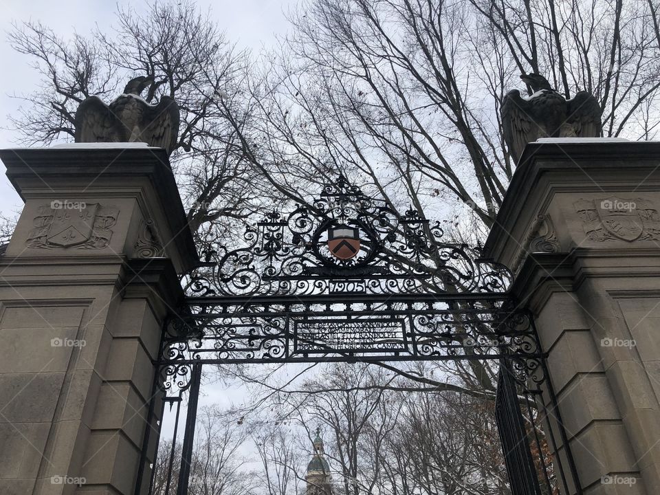 The gates at Princeton university