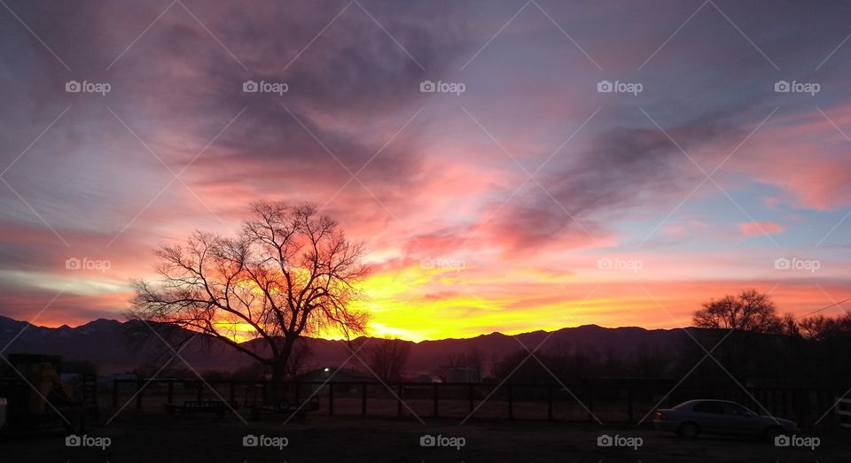 day and night. I love the in between.