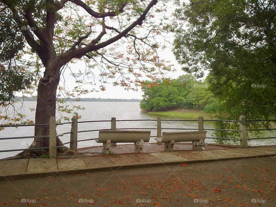 On a fine beautiful day on the Ambazari Lake and Garden
