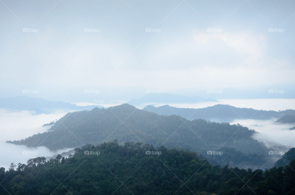 Sea of mist on the mountain.