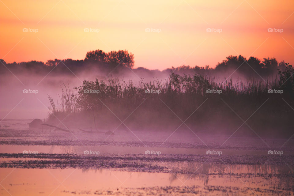 Morning Mist. Had to wake up extra early to take this photo