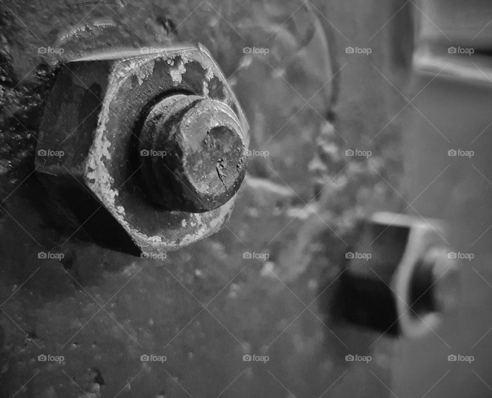 Two bolt nuts in b/w