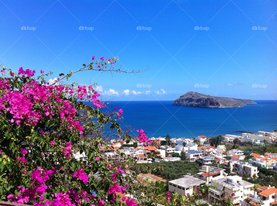 ocean sky italy flower by asa