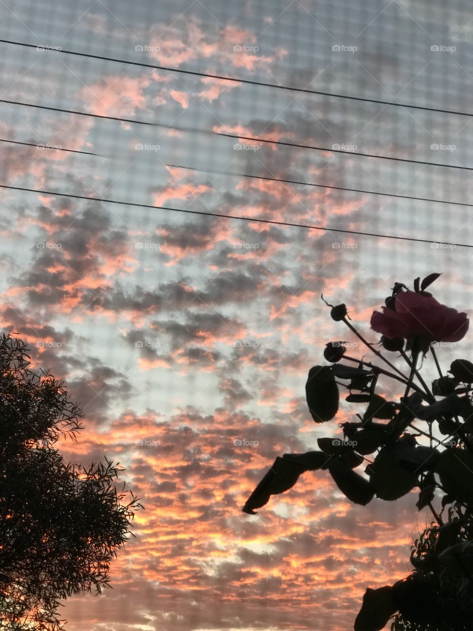 Loved one making tonight’s sunset so beautiful 🤗