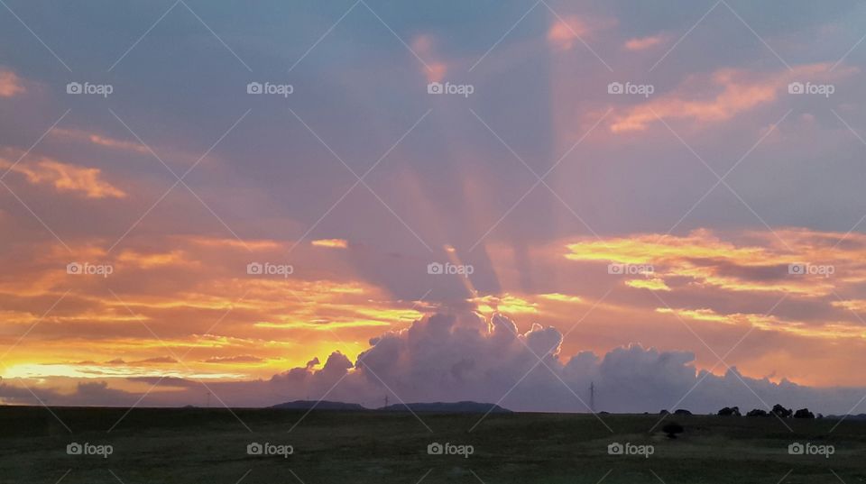 sunrise , sunrays illuminating the morning