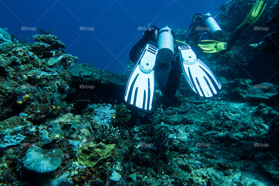 Always keen to discover new reefs 