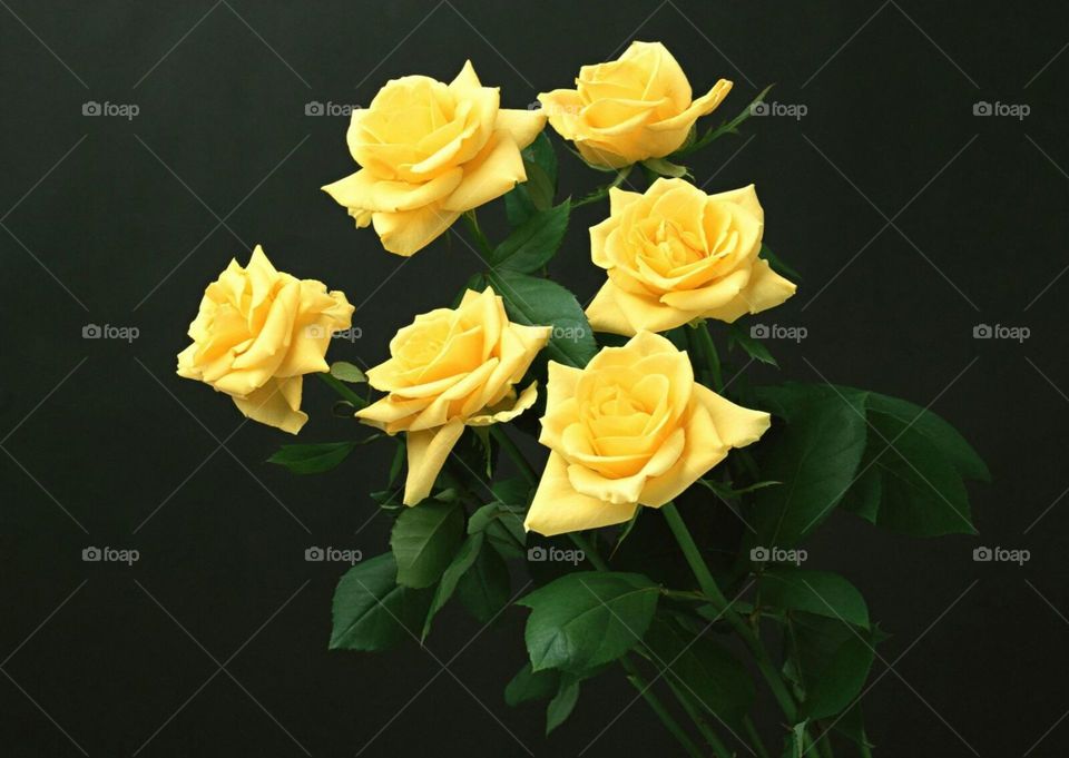 букет роз жёлтые