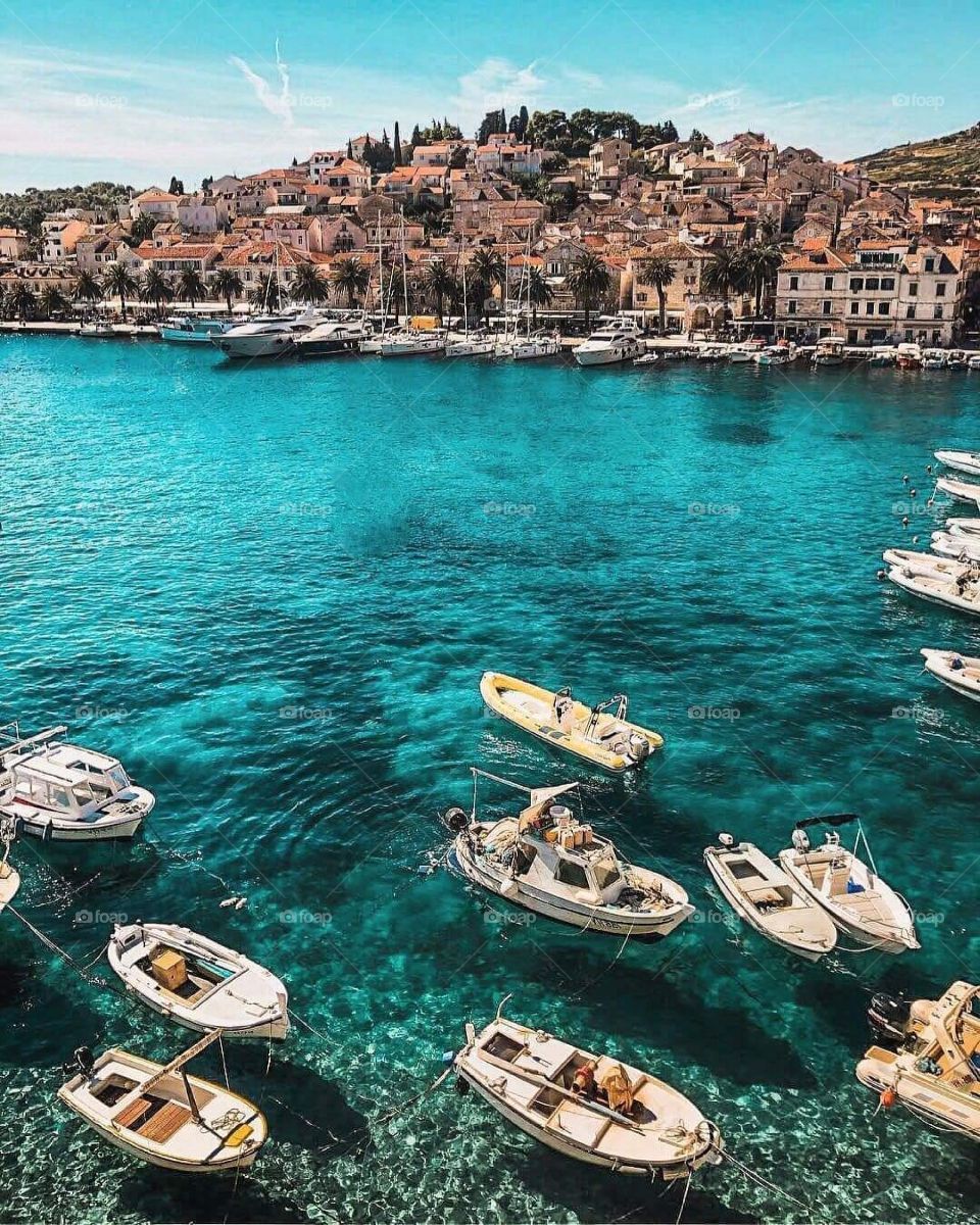 Hvar Svirce from croatia