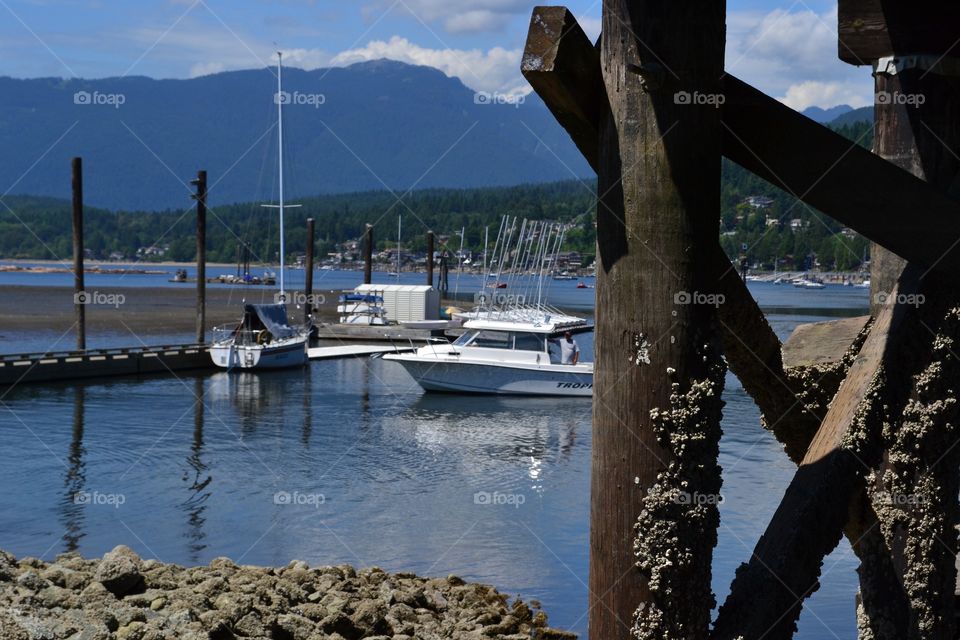 Marina View through the wharf. Marina View through the wharf