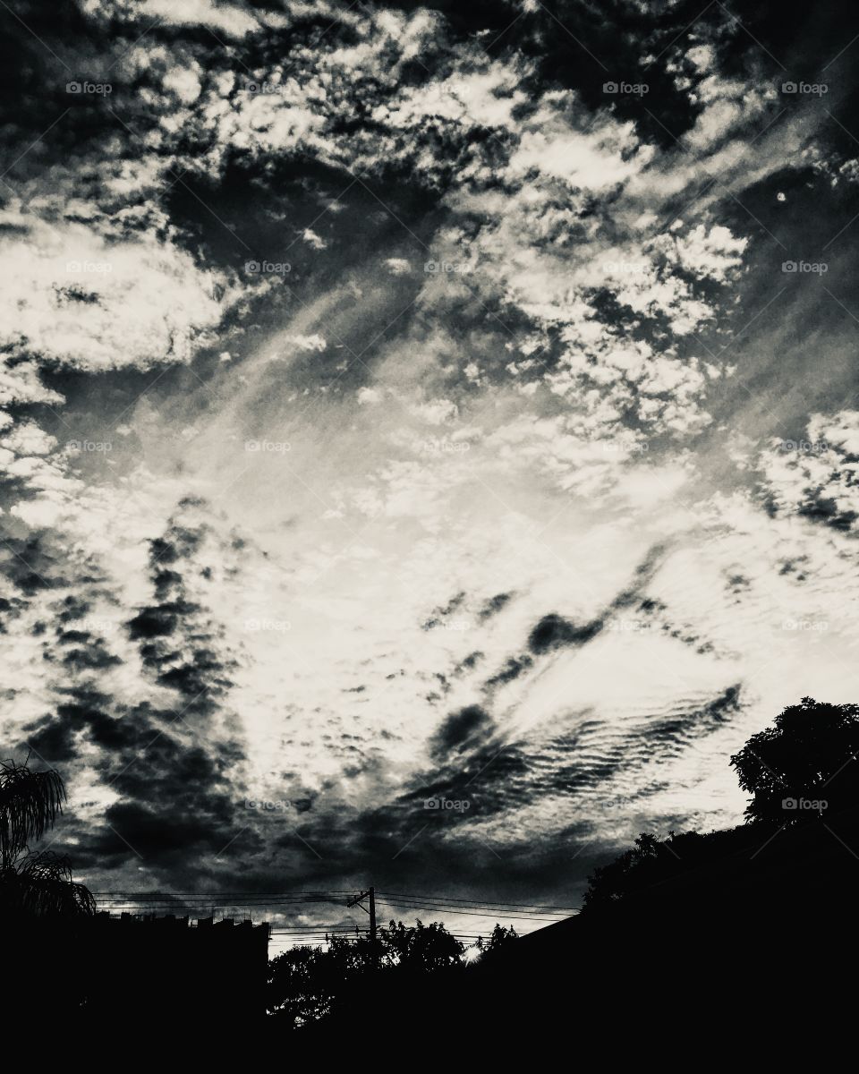 FOAP MISSIONS - Winter brings us clear signs of introspection, but also abstract signs of beauty. Look at the sky mixed with the earth! /O inverno traz sinais claros de introspecção, mas também abstratos de beleza. Vejam o céu misturado com a terra!