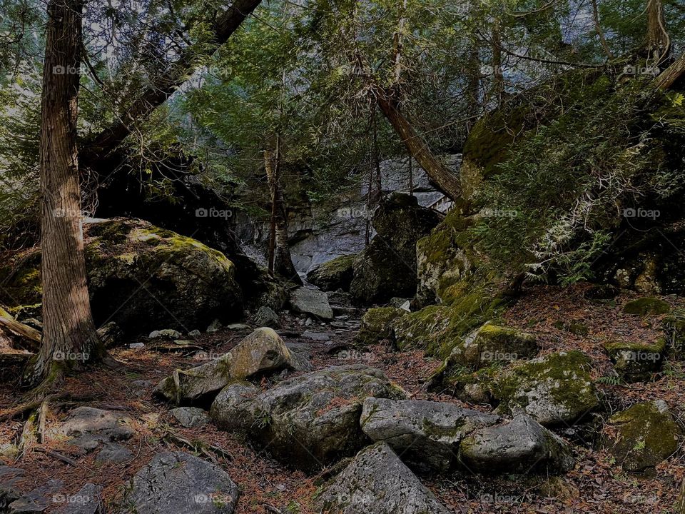 Romantic wilderness walk