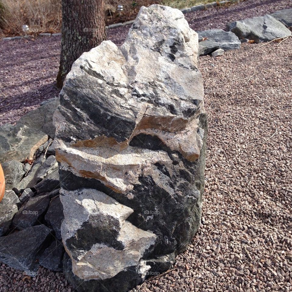 Granite rock In my garden in Westerly Rhode Island