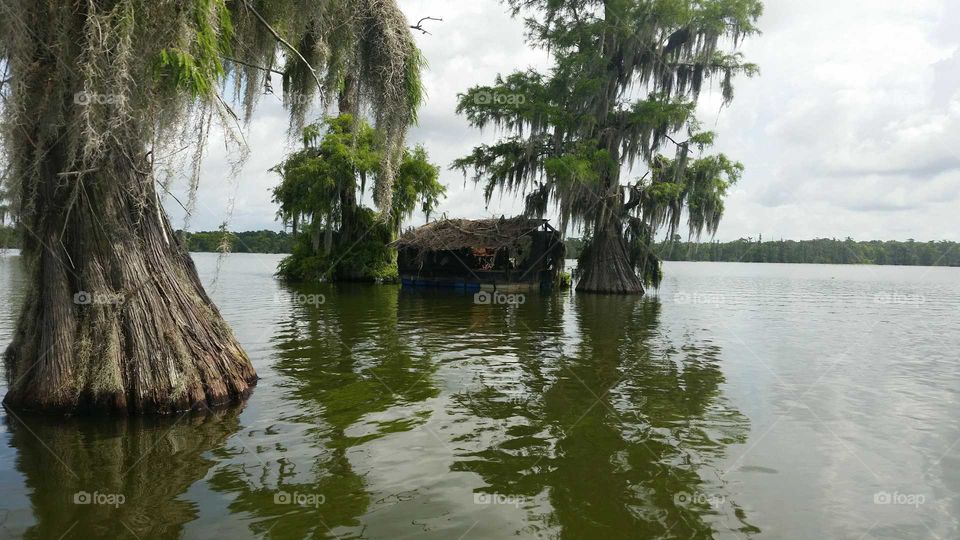swamp lake house