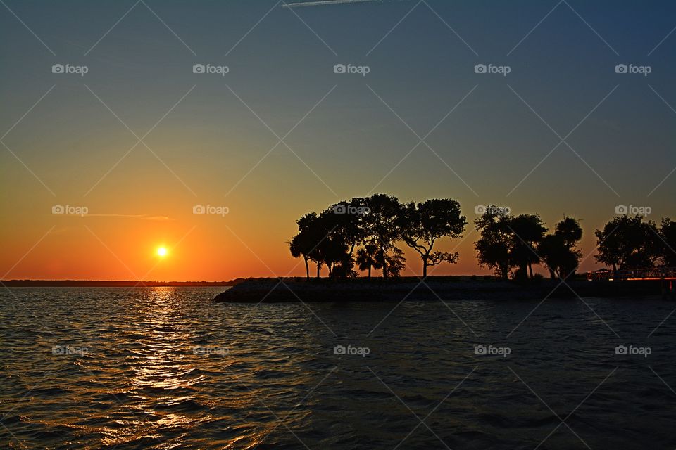 View of sea with trees during sunset