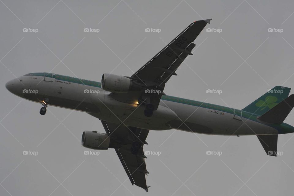 Aer Lingus A320-214 landing at Cork Airport 