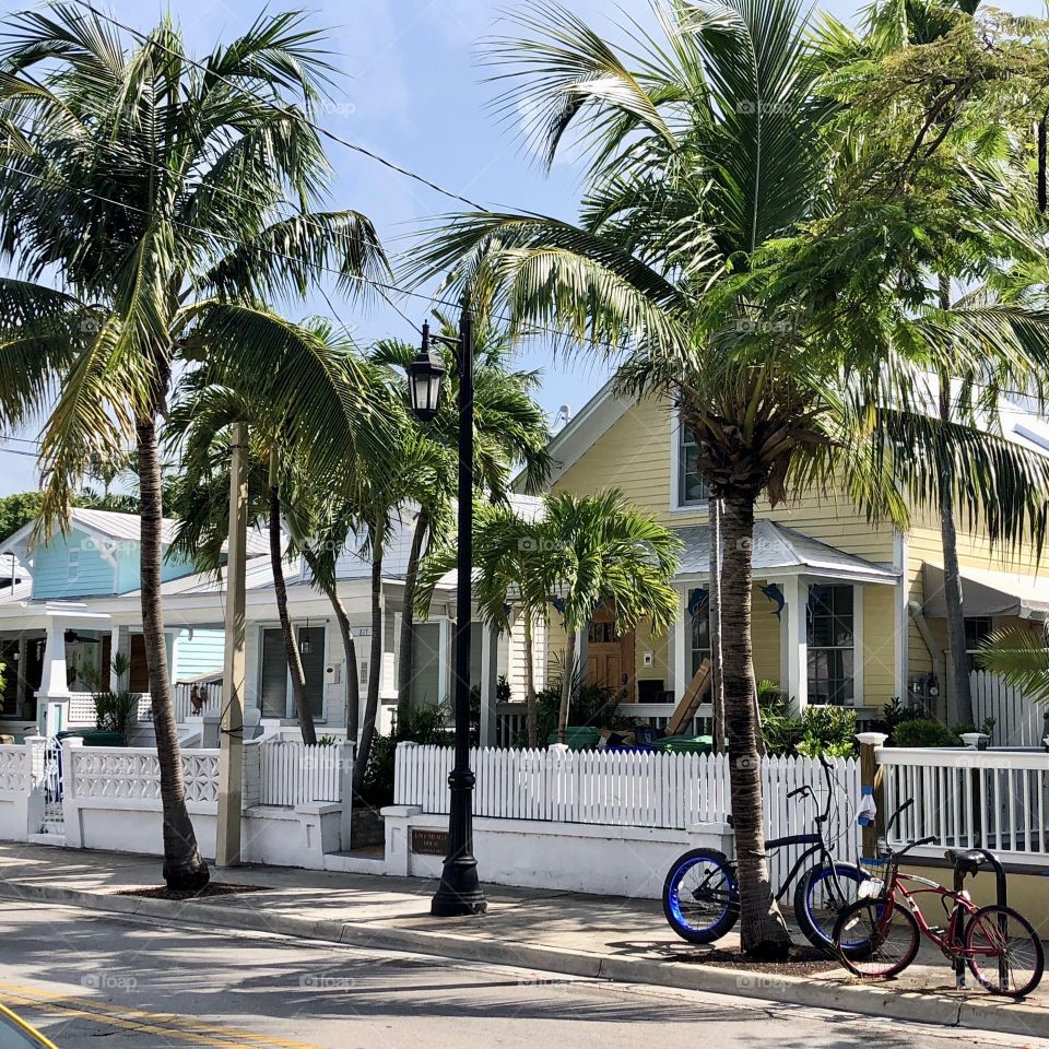 Key West Residence