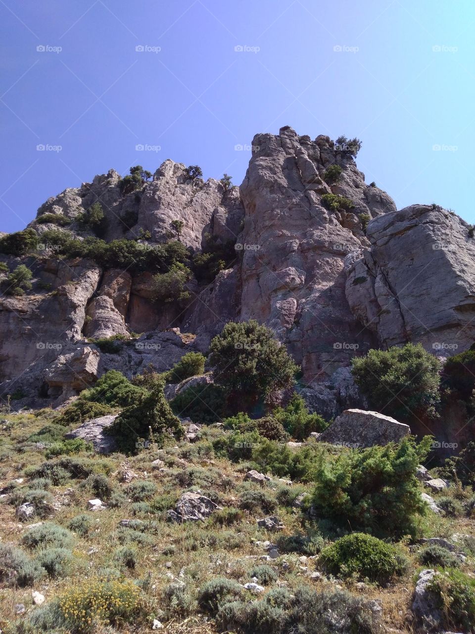 Editors' Choice - Photo of the Week