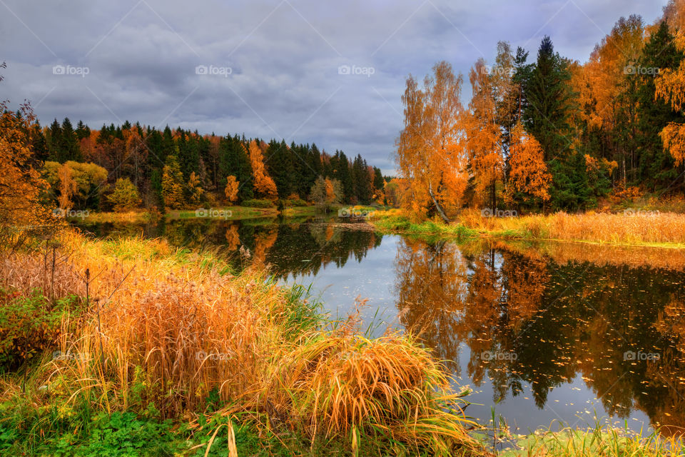 Autumn landscape with pond