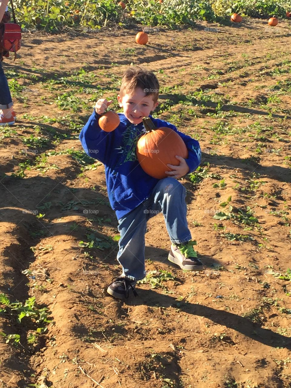 Pumpkin picking 